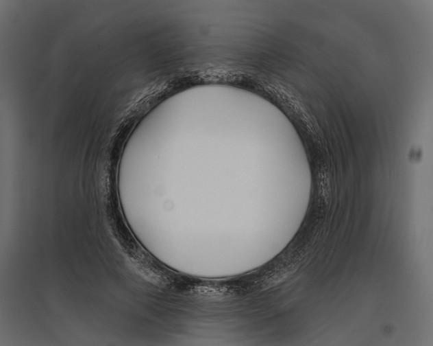 X0000096990690200803071054