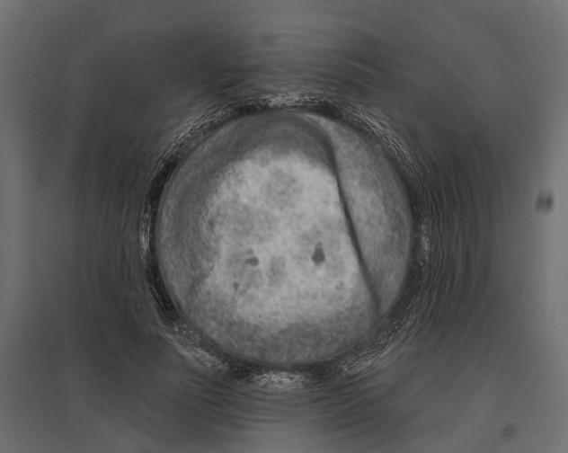 X0000096990691200803071054