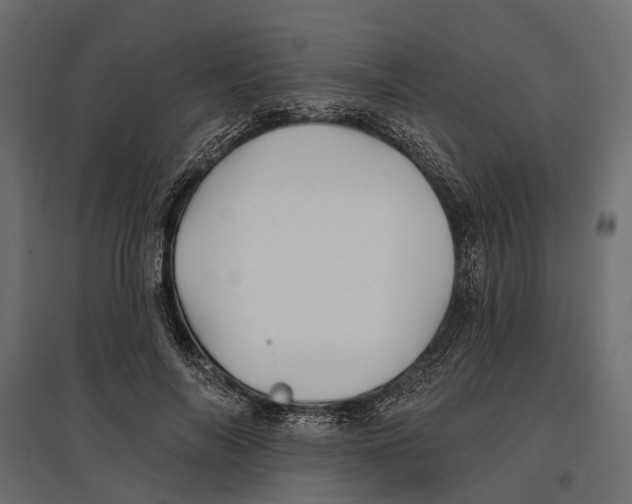 X0000096990694200803071054