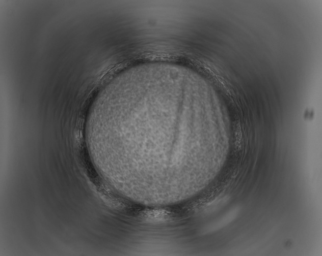 X0000096990695200803071054