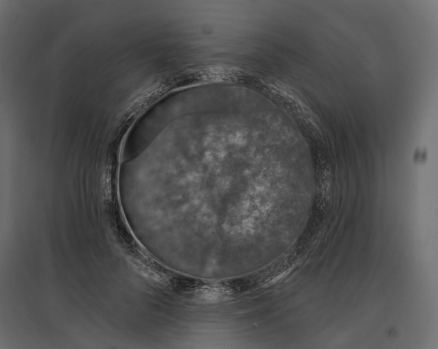 X0000096990696200803071054