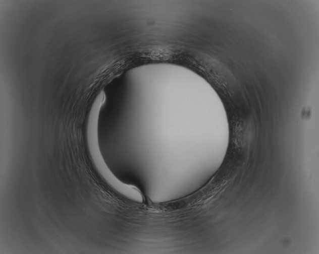 X0000096990697200803071053