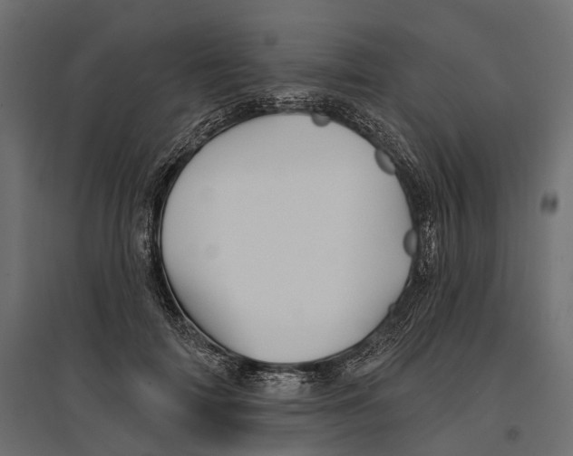 X0000096990698200803071053