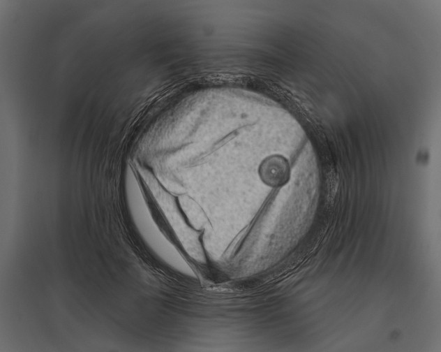 X0000096990699200803071053