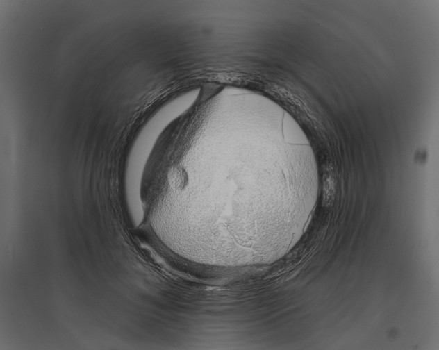 X0000096990700200803071053