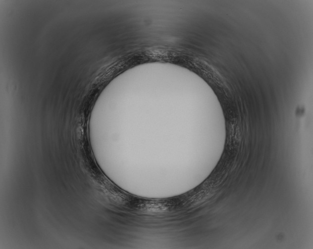 X0000096990702200803071053