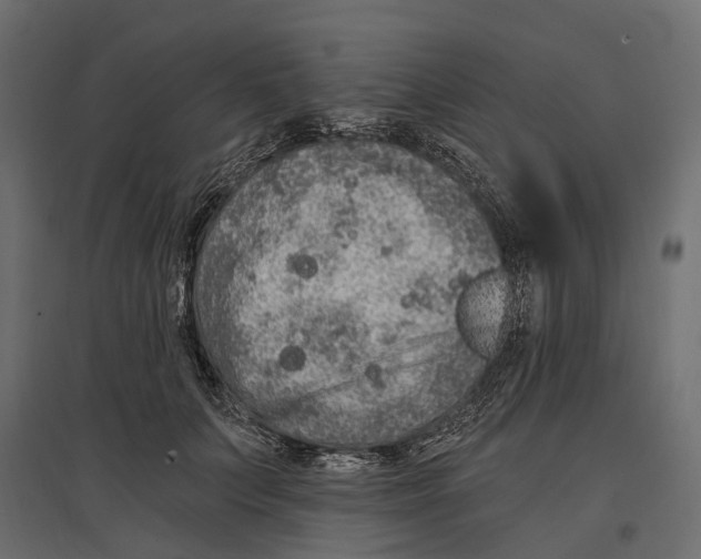 X0000096990703200803071053