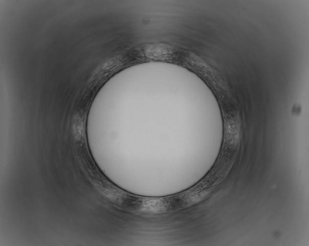 X0000096990705200803071053