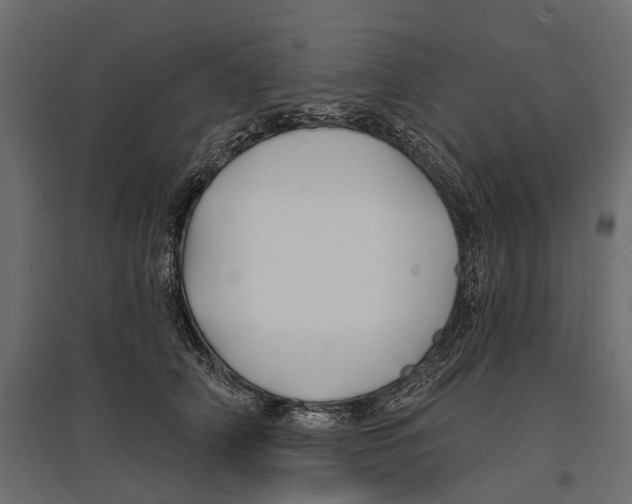 X0000096990706200803071053