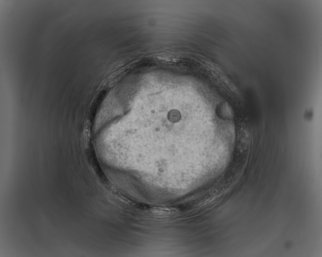 X0000096990707200803071053