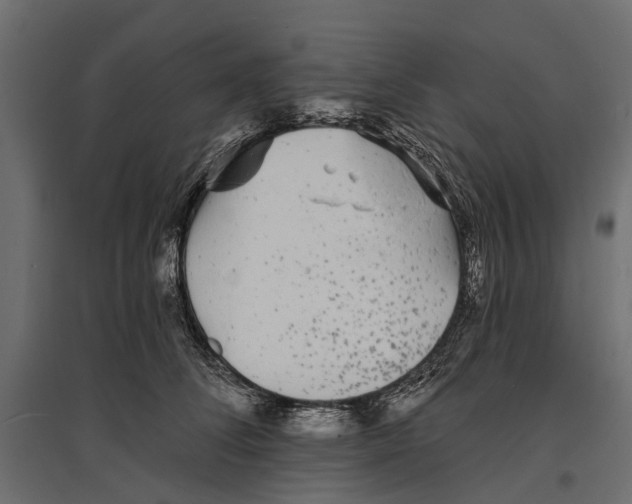 X0000096990708200803071053