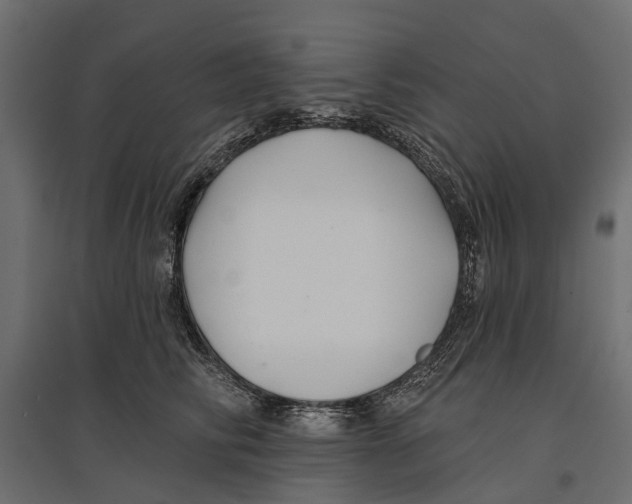 X0000096990710200803071053