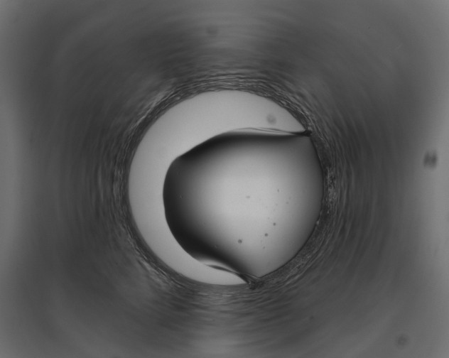 X0000096990712200803071053