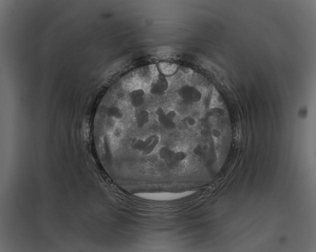 X0000096990715200803071053