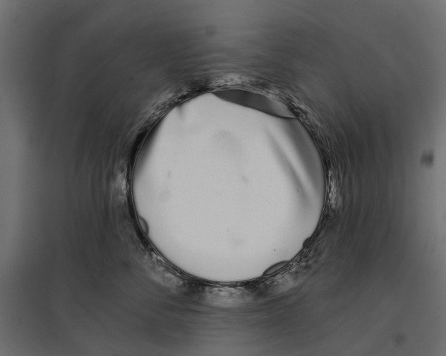 X0000096990716200803071053