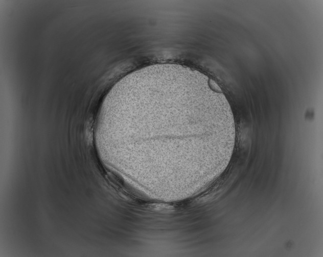 X0000096990719200803071053