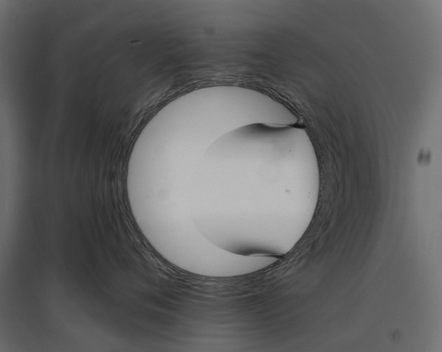 X0000096990720200803071053