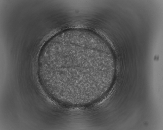 X0000096990721200803071052