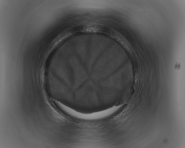 X0000096990722200803071053