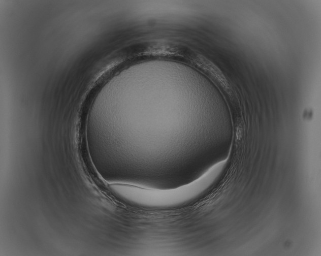 X0000096990724200803071053