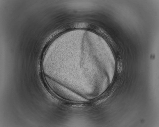 X0000096990725200803071053