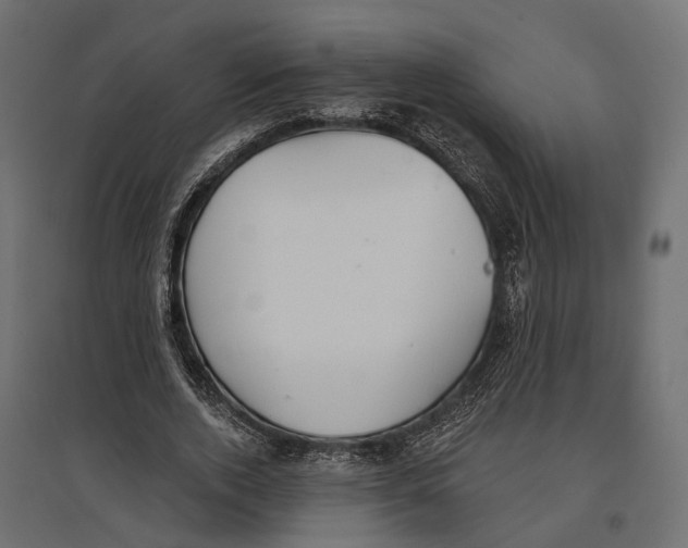 X0000096990728200803071053