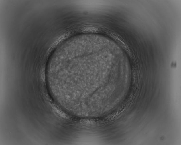 X0000096990729200803071053