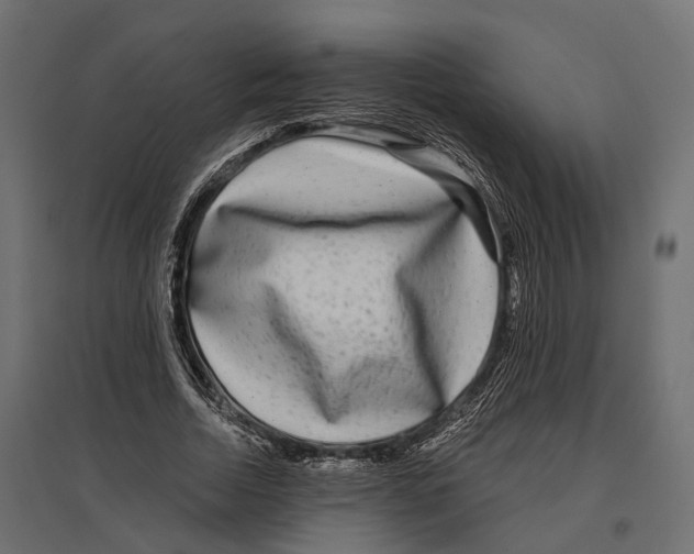 X0000096990730200803071053