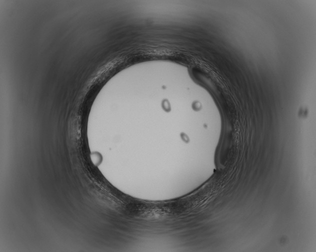 X0000096990731200803071053