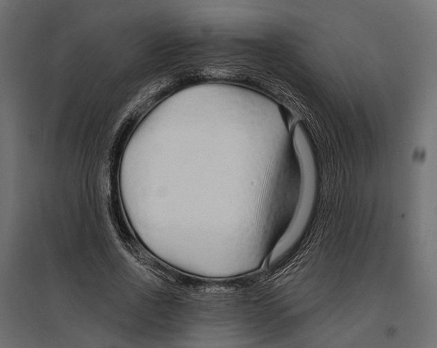 X0000096990734200803071053