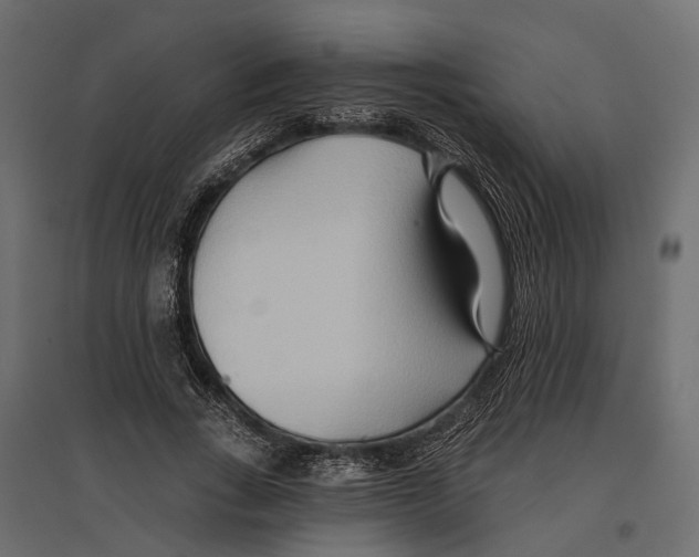 X0000096990735200803071053