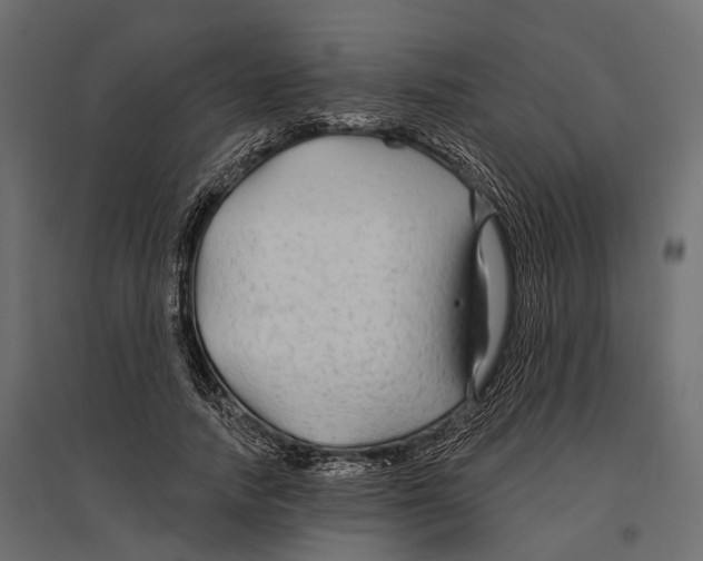 X0000096990738200803071053