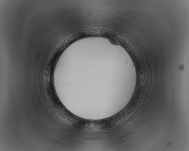 X0000096990739200803071053