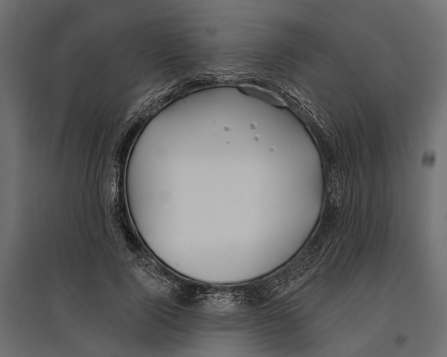 X0000096990740200803071053