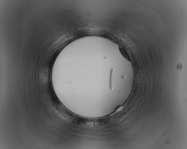 X0000096990744200803071053