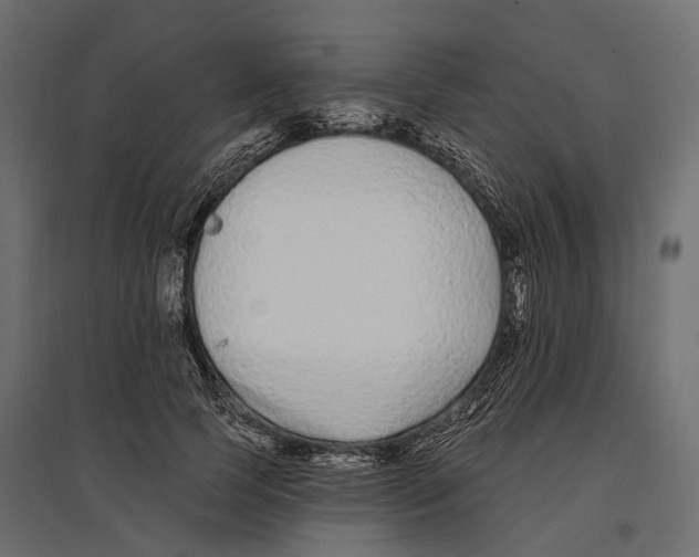 X0000096990745200803071053