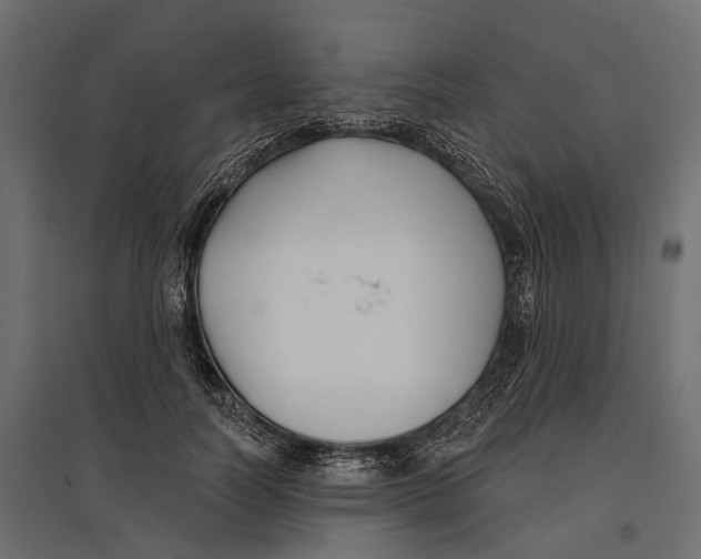 X0000096990746200803071053