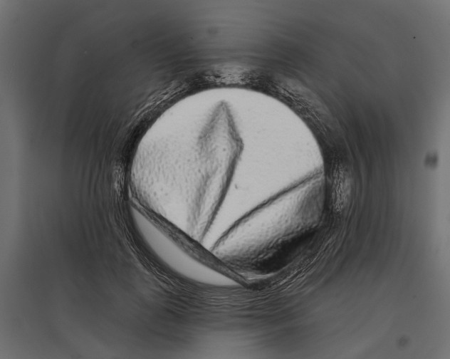 X0000096990747200803071053