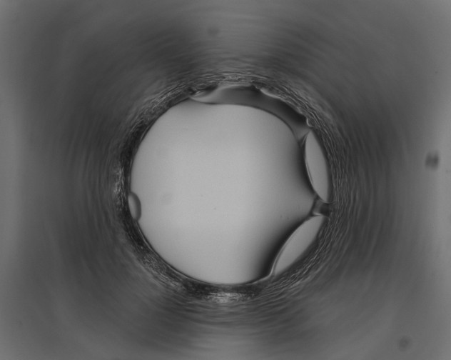 X0000096990748200803071053