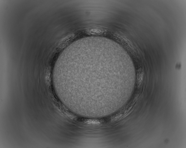 X0000096990749200803071053