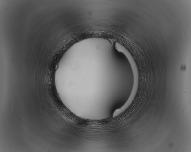 X0000096990750200803071053