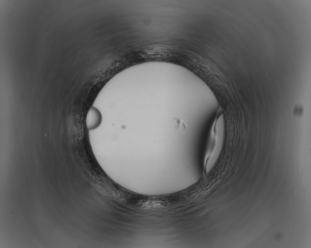 X0000096990751200803071053