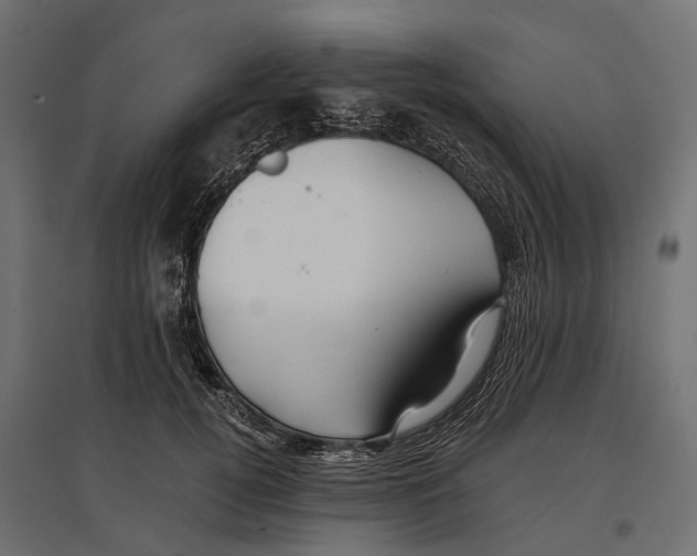 X0000096990752200803071053