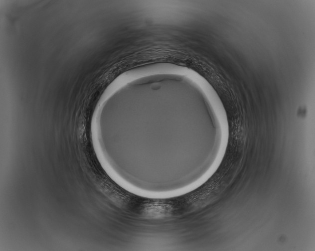 X0000096990754200803071053