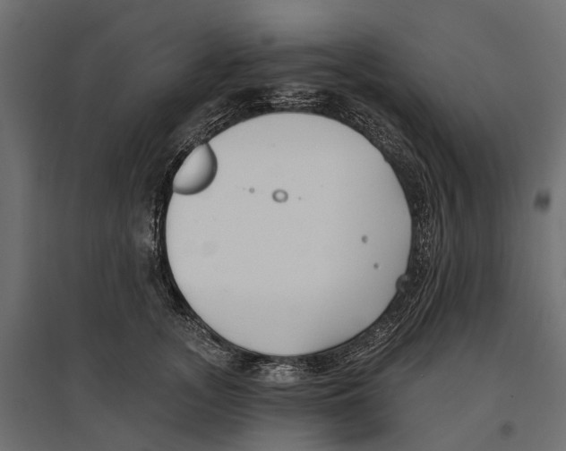 X0000096990755200803071053