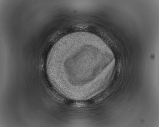 X0000096990758200803071053