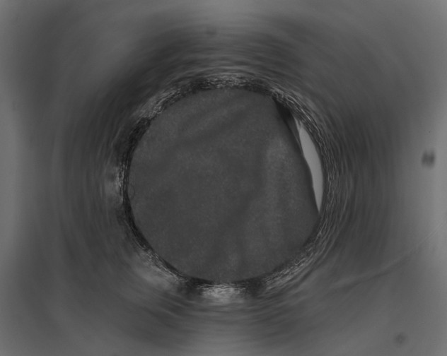 X0000096990759200803071053