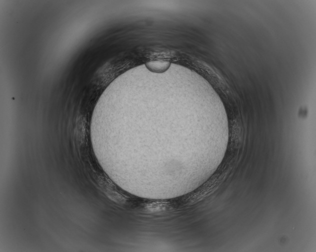 X0000096990761200803071053