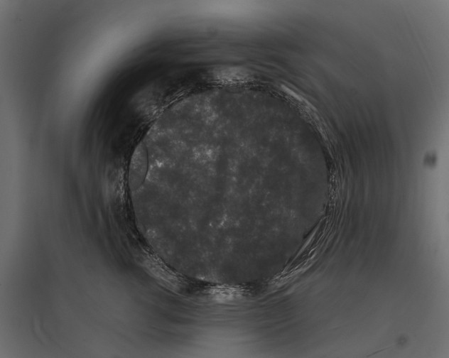 X0000096990762200803071053