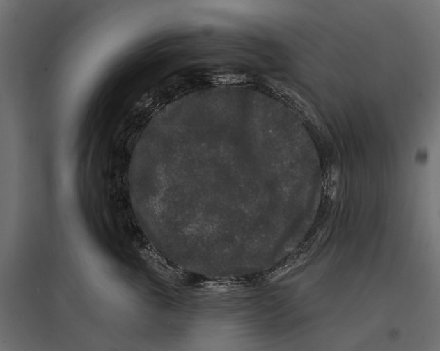 X0000096990763200803071053